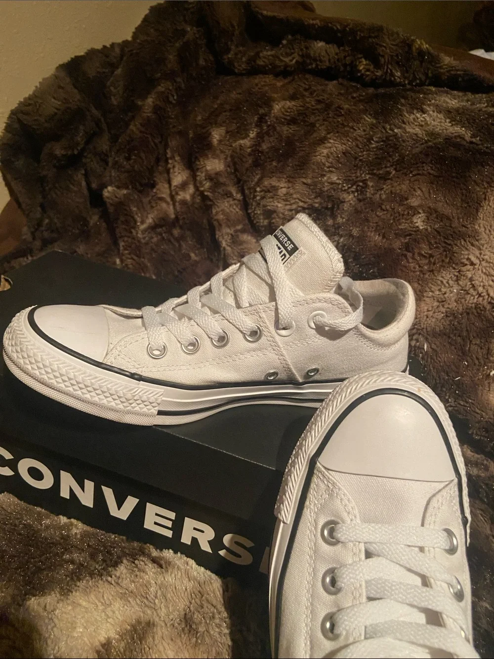 Converse White Low Top Canvas Sneakers - Picture 10 of 13